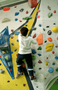 Los niveles de escalada en el rocódromo según los colores